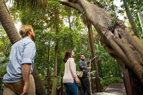Aboriginal Heritage Walk - Royal Botanic Gardens Victoria, Melbourne Gardens - Surfers Paradise Gold Coast 1