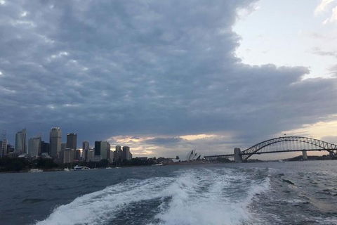 Sydney&Melbourne City Lovers- 2 Day Combo Private Tour! - Surfers Paradise Gold Coast 1