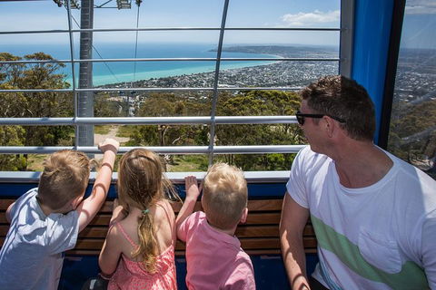 Enchanted Eagle Tour - Surfers Paradise Gold Coast 1