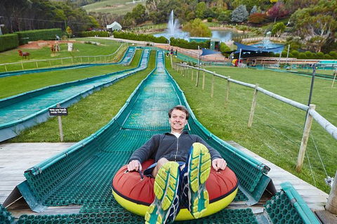 Enchanted Eagle Tour - Surfers Paradise Gold Coast 4