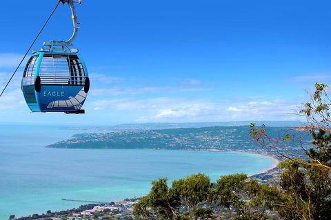 Enchanted Eagle Tour - Surfers Paradise Gold Coast 9