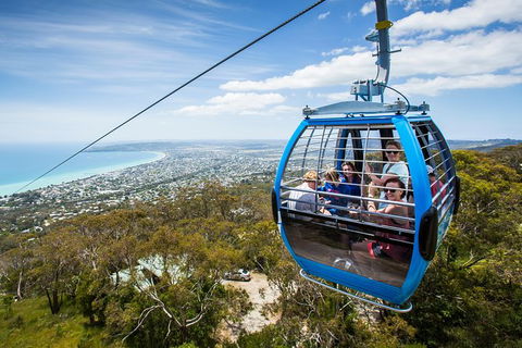Enchanted Eagle Tour - Surfers Paradise Gold Coast 3