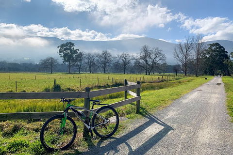 Aqueduct And Rail Trail Self-Guided Bike Tour In Warburton - Surfers Paradise Gold Coast 5