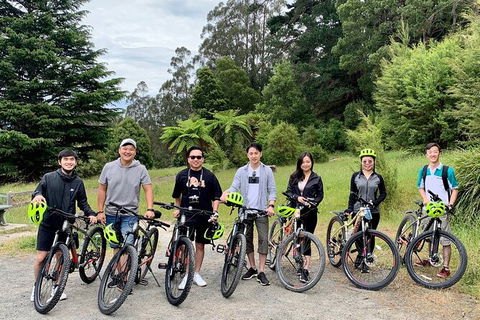 Aqueduct And Rail Trail Self-Guided Bike Tour In Warburton - Surfers Paradise Gold Coast 0