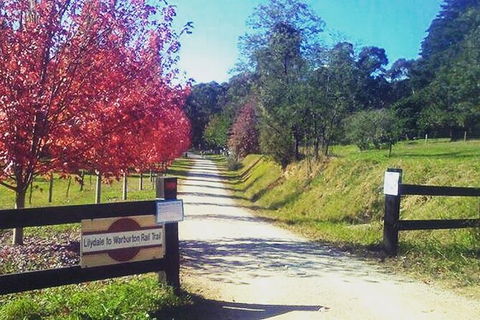 Aqueduct And Rail Trail Self-Guided Bike Tour In Warburton - Surfers Paradise Gold Coast 4
