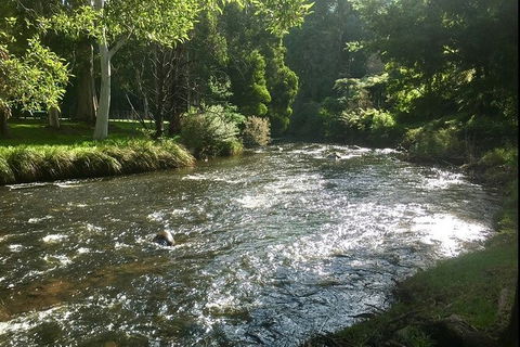 Watertube Experience In Yarra River - Surfers Paradise Gold Coast 3