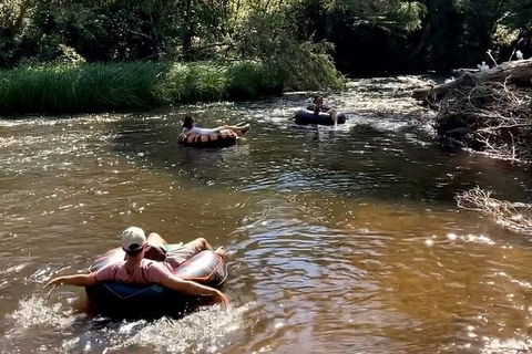 Watertube Experience In Yarra River - Surfers Paradise Gold Coast 8