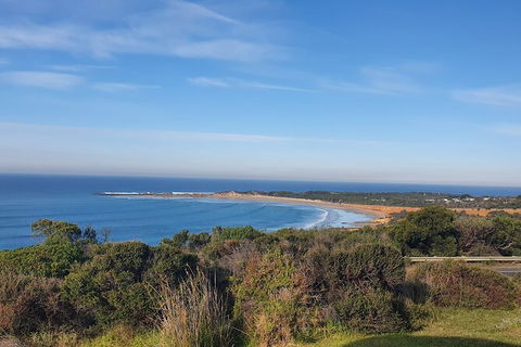 Private Great Ocean Road And Chocolaterie Tour With Tasting - Surfers Paradise Gold Coast 5