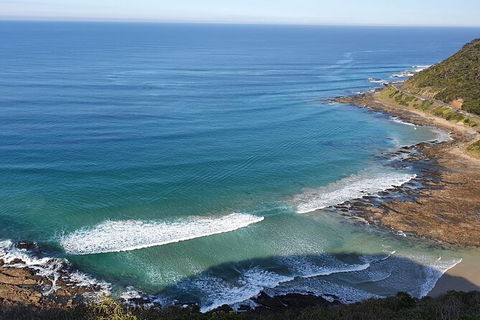 Private Great Ocean Road And Chocolaterie Tour With Tasting - Surfers Paradise Gold Coast 7