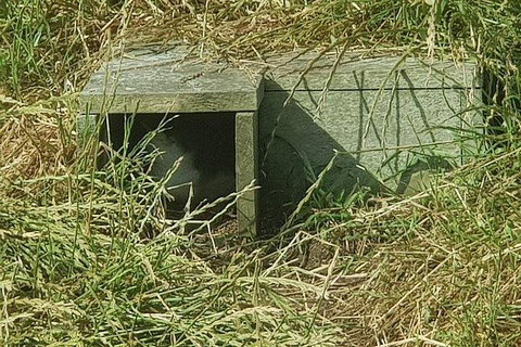 Phillip Island Penguin And Wildlife Tour - Surfers Paradise Gold Coast 11