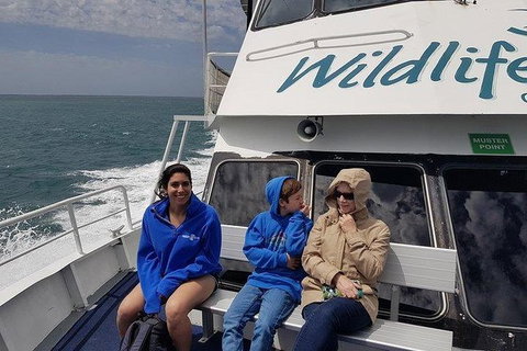 Phillip Island Penguin And Wildlife Tour - Surfers Paradise Gold Coast 15