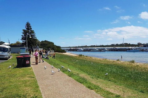 Phillip Island Penguin And Wildlife Tour - Surfers Paradise Gold Coast 25