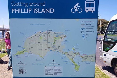 Phillip Island Penguin And Wildlife Tour - Surfers Paradise Gold Coast 28