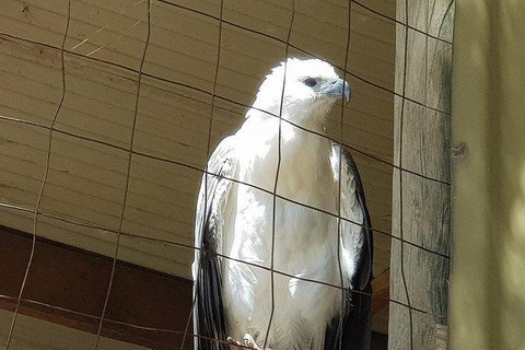 Phillip Island Penguin And Wildlife Tour - Surfers Paradise Gold Coast 21