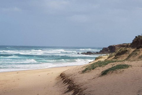 Phillip Island Penguin And Wildlife Tour - Surfers Paradise Gold Coast 10