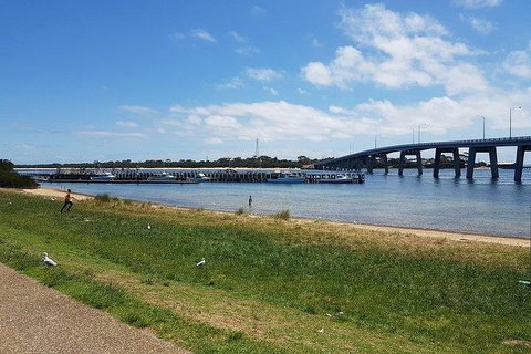 Phillip Island Penguin And Wildlife Tour - Surfers Paradise Gold Coast 24