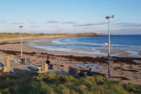 Phillip Island Penguin And Wildlife Tour - Surfers Paradise Gold Coast 8