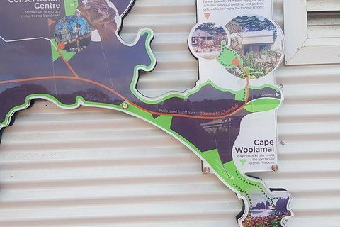 Phillip Island Penguin And Wildlife Tour - Surfers Paradise Gold Coast 29