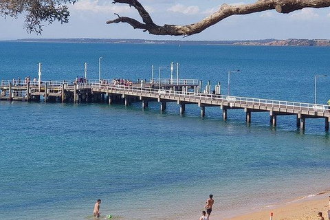 Phillip Island Penguin And Wildlife Tour - Surfers Paradise Gold Coast 2