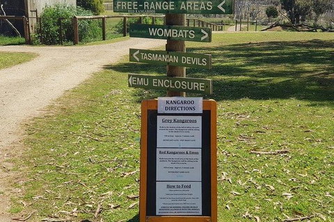 Phillip Island Penguin And Wildlife Tour - Surfers Paradise Gold Coast 4