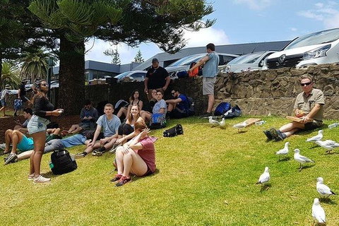 Phillip Island Penguin And Wildlife Tour - Surfers Paradise Gold Coast 22