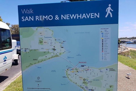 Phillip Island Penguin And Wildlife Tour - Surfers Paradise Gold Coast 35