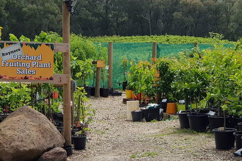 Yarra Valley Wineries And Rayners Orchard Tour From Melbourne - Surfers Paradise Gold Coast 0