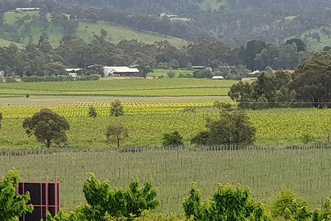 Yarra Valley Wineries And Rayners Orchard Tour From Melbourne - Surfers Paradise Gold Coast 2