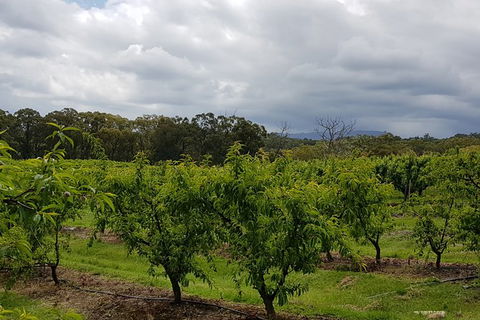 Yarra Valley Wineries And Rayners Orchard Tour From Melbourne - Surfers Paradise Gold Coast 18