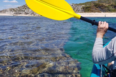 Rottnest Glass Bottom Kayaking Tour - Surfers Paradise Gold Coast 3