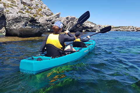 Rottnest Glass Bottom Kayaking Tour - Surfers Paradise Gold Coast 4
