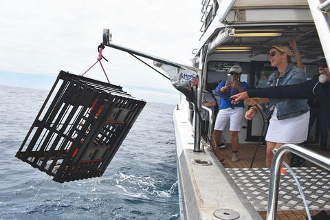Rottnest Island Wild Seafood Package With Round Trip Ferry From Perth - Surfers Paradise Gold Coast 0