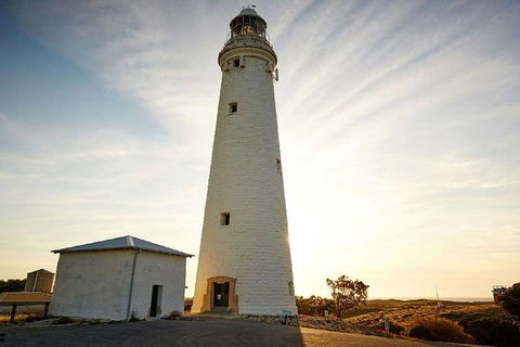 Rottnest Island Wild Seafood Package With Round Trip Ferry From Perth - Surfers Paradise Gold Coast 4