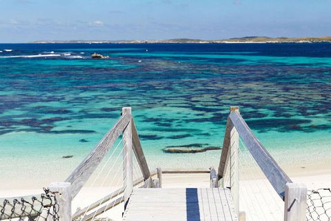 Rottnest Island Wild Seafood Package With Round Trip Ferry From Perth - Surfers Paradise Gold Coast 2