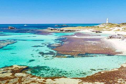 Rottnest Island Wild Seafood Package With Round Trip Ferry From Perth - Surfers Paradise Gold Coast 7