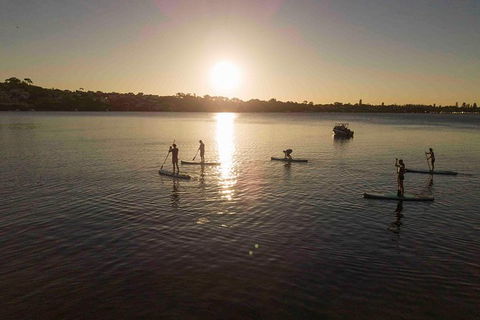 Stand Up Paddle Board Hire - Surfers Paradise Gold Coast 5