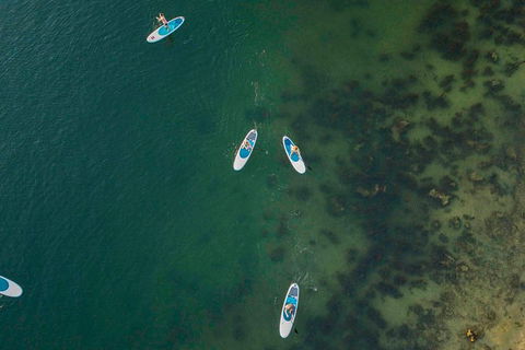 Stand Up Paddle Board Hire - Surfers Paradise Gold Coast 1
