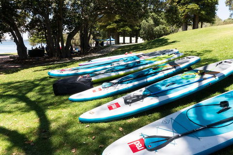 Stand Up Paddle Board Hire - Surfers Paradise Gold Coast 4