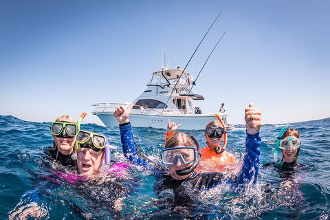 Life On Ningaloo Swimming Tour In Exmouth - Surfers Paradise Gold Coast 4