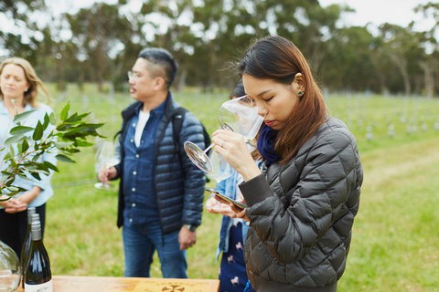 Organic Vineyard/Farm Tour - Surfers Paradise Gold Coast 1