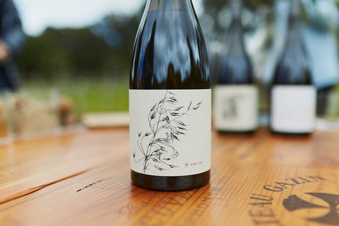 Organic Vineyard/Farm Tour - Surfers Paradise Gold Coast 8
