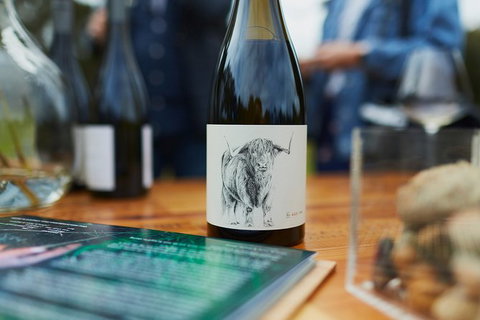 Organic Vineyard/Farm Tour - Surfers Paradise Gold Coast 5