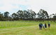 Organic Vineyard/Farm Tour - thumb 7