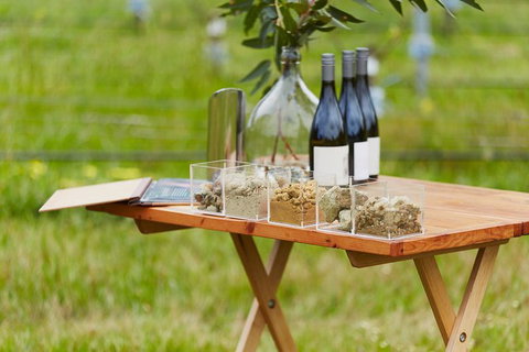 Organic Vineyard/Farm Tour - Surfers Paradise Gold Coast 3