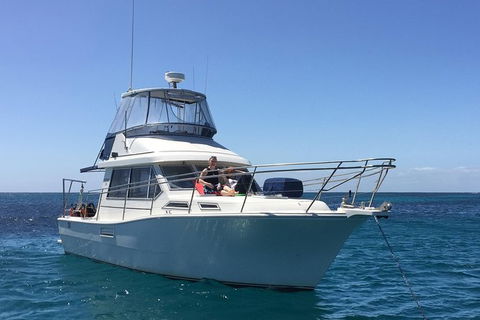 Scuba Dive The Beautiful Rottnest Island - Surfers Paradise Gold Coast 4