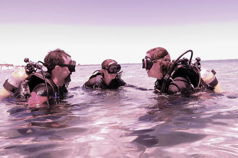Scuba Dive The Beautiful Rottnest Island - Surfers Paradise Gold Coast 3
