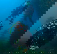 Scuba Dive The Beautiful Rottnest Island - Surfers Paradise Gold Coast