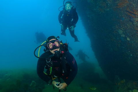 Scuba Dive The Beautiful Rottnest Island - Surfers Paradise Gold Coast 0