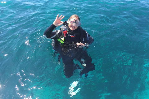 Scuba Dive The Beautiful Rottnest Island - Surfers Paradise Gold Coast 5
