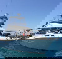 Single Boat Dive - Surfers Paradise Gold Coast
